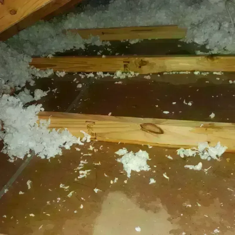 Attic Water Damage in East Rockingham, NC