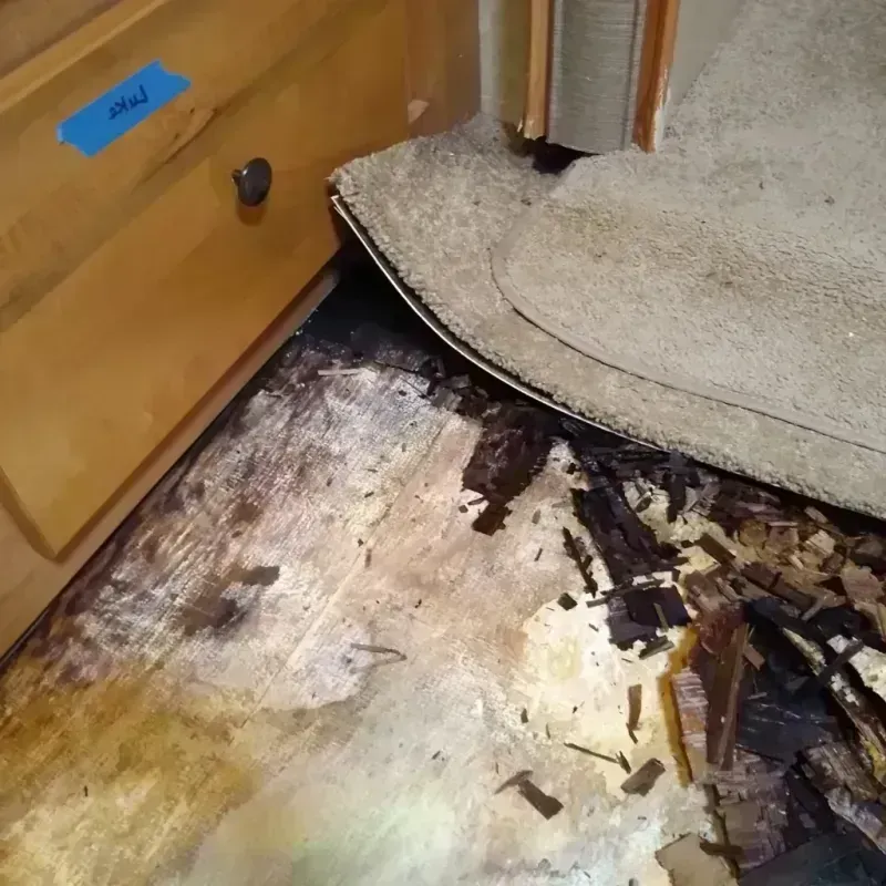 Wood Floor Water Damage in East Rockingham, NC